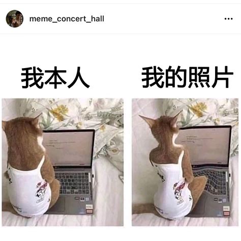 吃掉 梗圖|每日梗图 